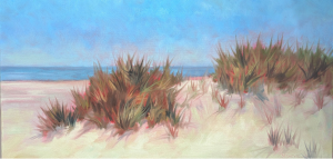 Zeeuwse duinen