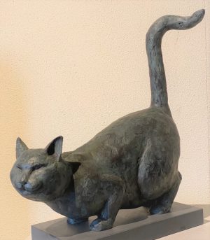 What's on a Cats Mind