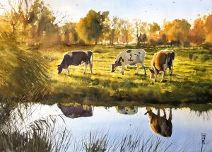 Koeien in de avondzon