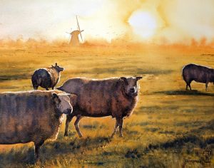 Schapen in de ochtendzon