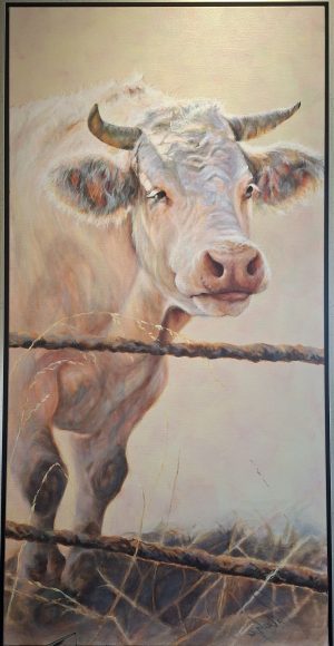 Siem, charleroi kalf